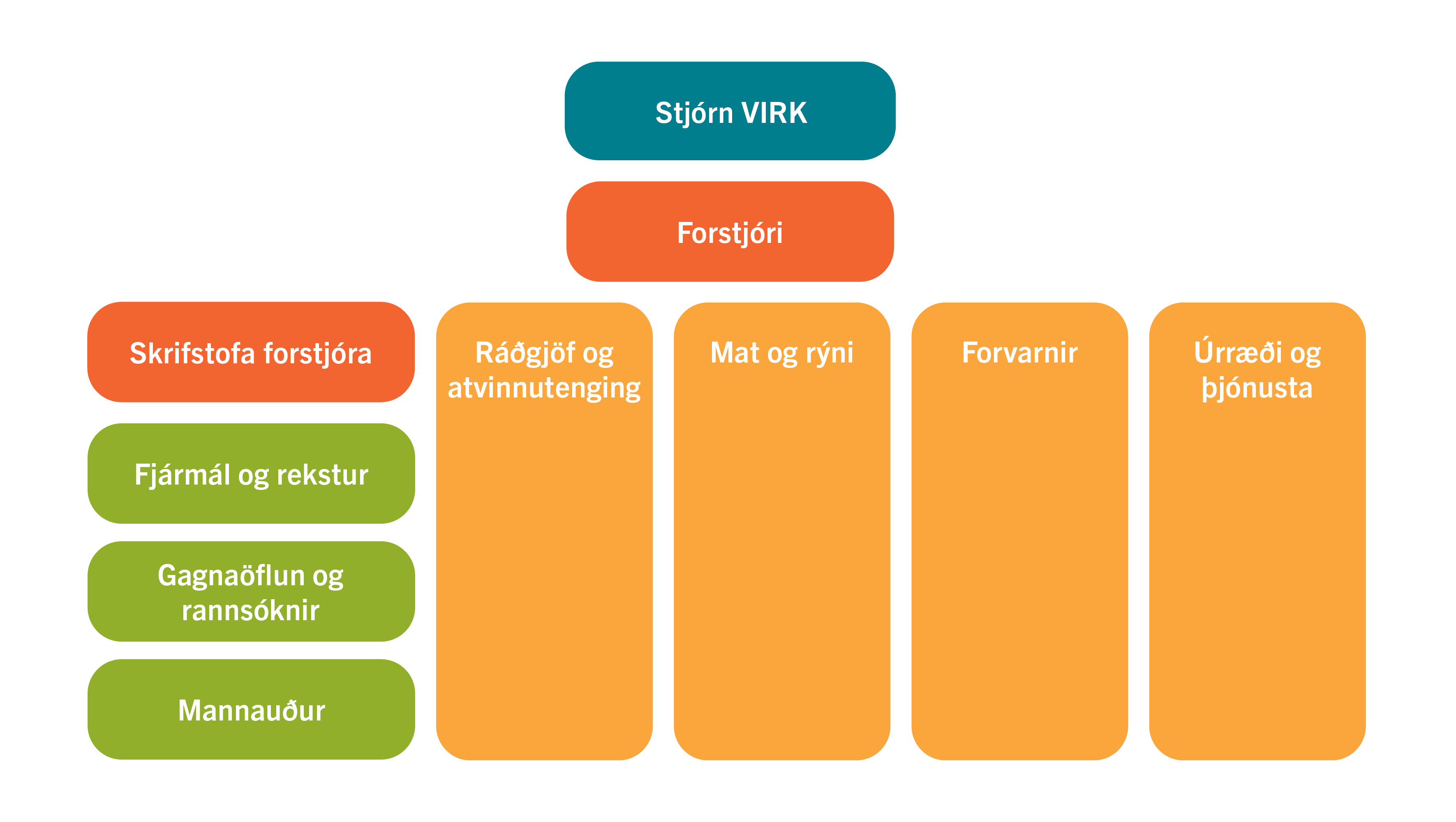 Skipurit VIRK Starfsendurh fingarsj s Og Netf ng Stj rnendateymis 
