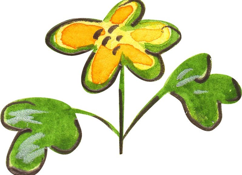 Þróunarverkefni VIRK og Reykjalundar gengur vel