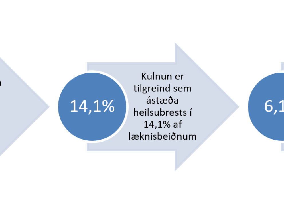 Samandregnar niðurstöður þróunarverkefnis 2022.