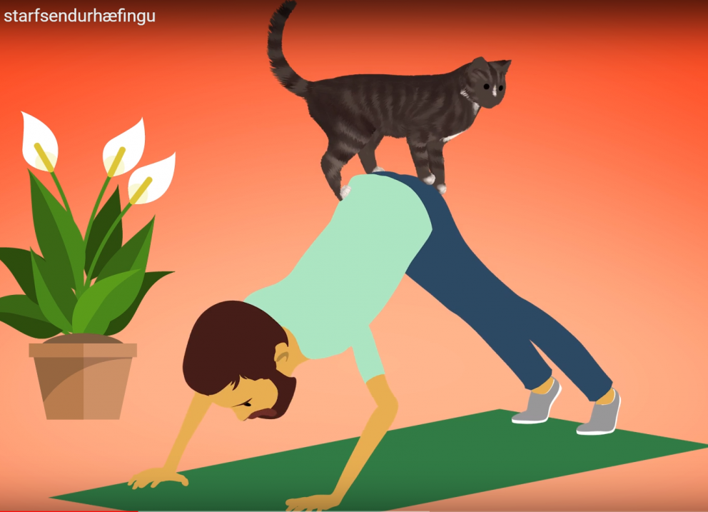 Nýtt þjónustumyndband VIRK