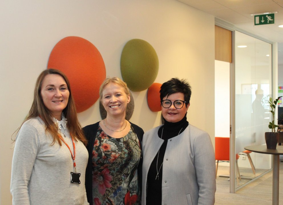 Jónína, Vigdís og Auður