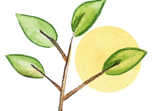 Ársfundur VIRK 5. apríl