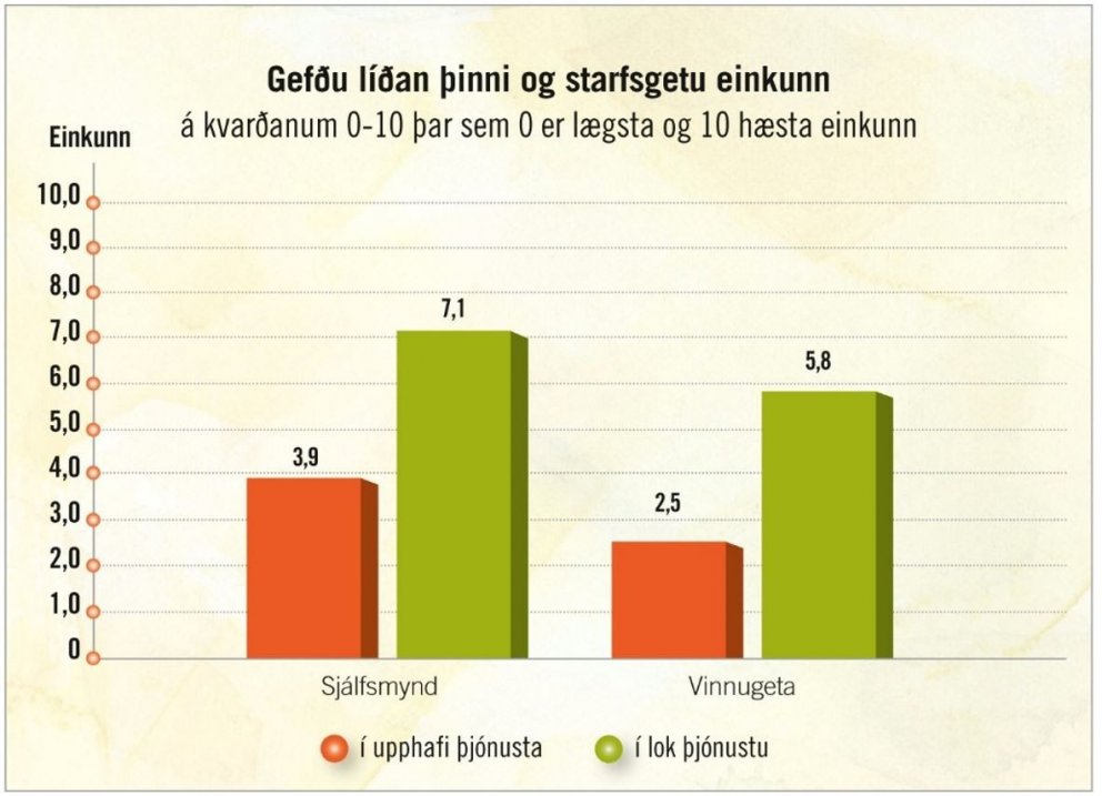 Úr þjónustukönnun VIRK